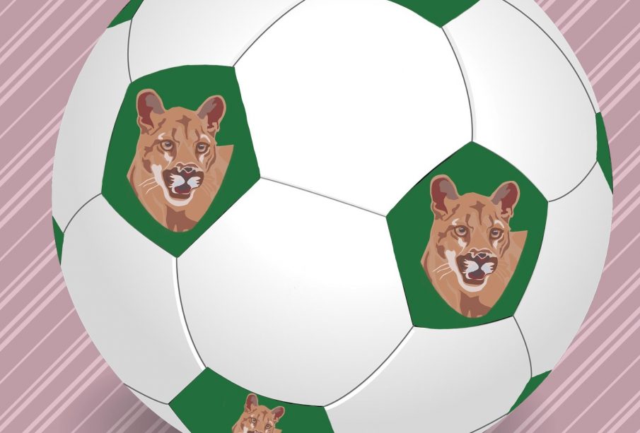 A white and green soccer ball with the image of a cougar on the green pentagons.