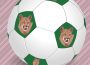 A white and green soccer ball with the image of a cougar on the green pentagons.