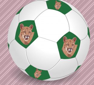 A white and green soccer ball with the image of a cougar on the green pentagons.