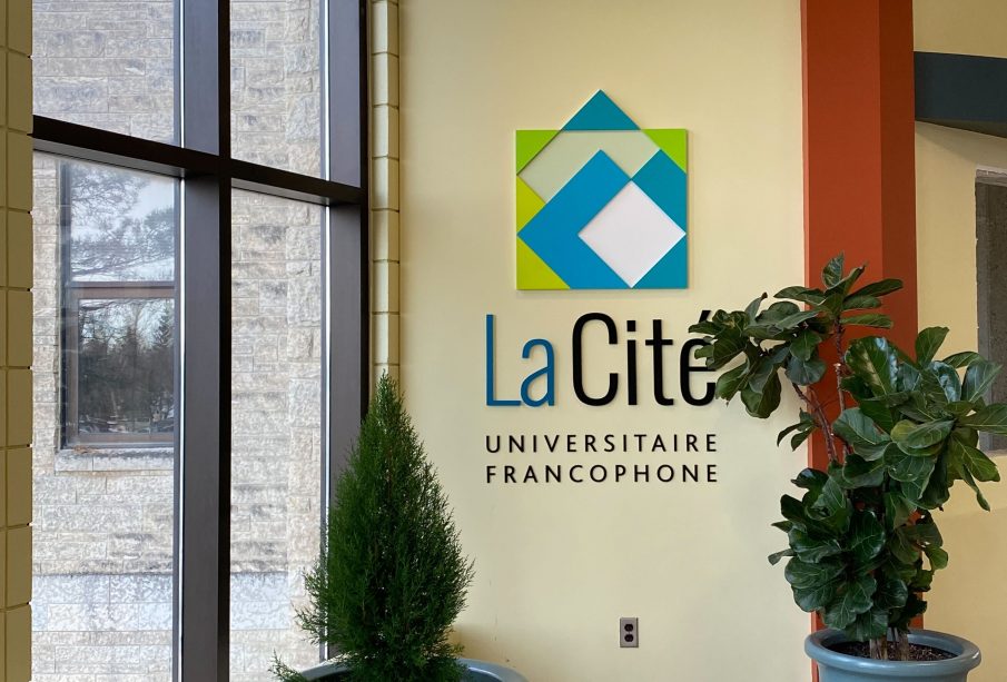 Potted plants sit on the floor by the wall sign for La Cité.