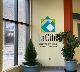 Potted plants sit on the floor by the wall sign for La Cité.