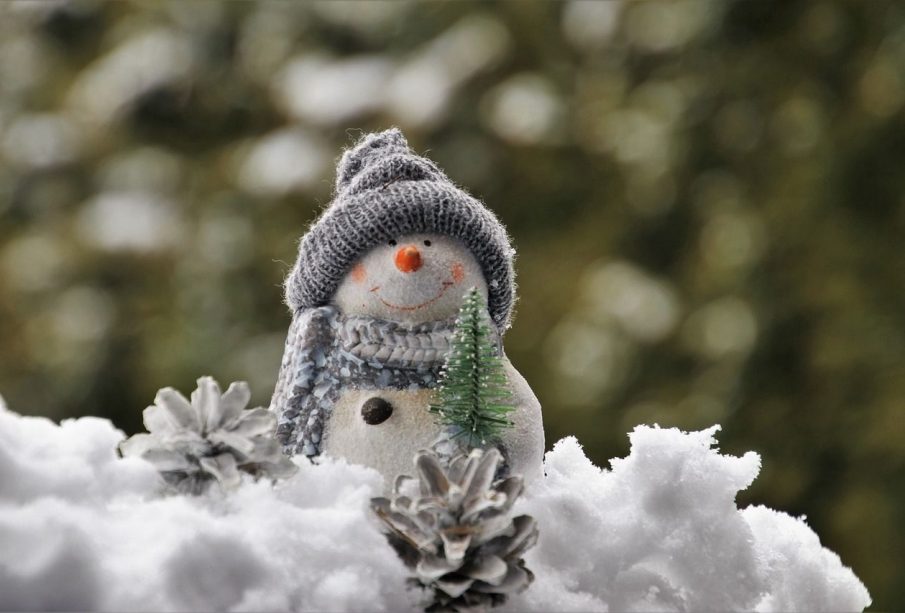 An image of a fake snowman on a pile of snow with two icy pinecones in front of it. The snowman is in a toque and scarf and has a mini pine tree accessory.