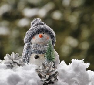 An image of a fake snowman on a pile of snow with two icy pinecones in front of it. The snowman is in a toque and scarf and has a mini pine tree accessory.