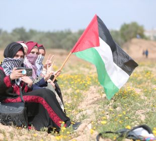 Four people sit in a field of dandelions wearing traditional Palestinian clothing. The third person of the four holds a Palestine flag out to billow in the wind.