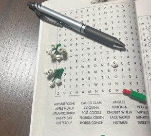 A word search with a two small white Lego flowers and one large Lego flower.
