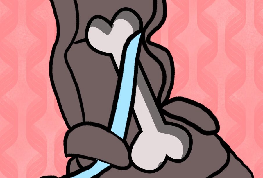 A drawing of a brown toddler car seat holding a large bone on a pink background with chevron geometric patterns.