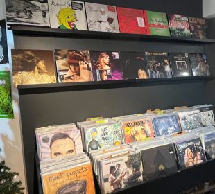 A picture of a display of records at X-Ray Records.