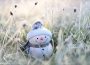 This photo shows a small decorative snowman sitting amid frosted grass. The snowman wears a scarf and hat, and has a carrot nose with black dots for the eyes, mouth, and jacket buttons. Under the frost, grass is beginning to come alive, and sunlight is pouring into the image.