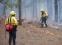 Two firefighters walk in a forest, trying to protect it from forest fire damage.