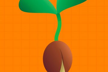 A small green seed is sprouting against an orange background.