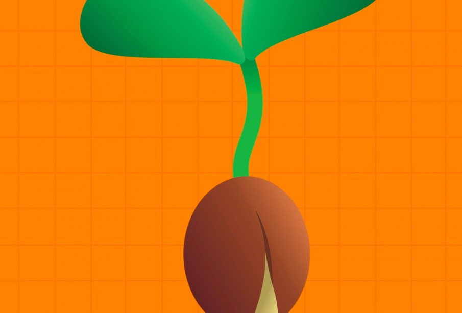 A small green seed is sprouting against an orange background.