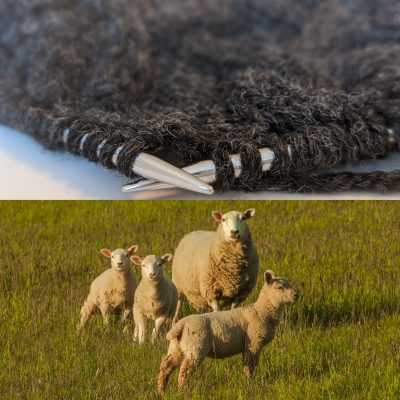 There are two photos stacked on top of each other, one of a fibre craft in progress with metal knitting needles and a dark grey or black material. The other is a photo of an ewe and her three lambs in a field of wild grass.