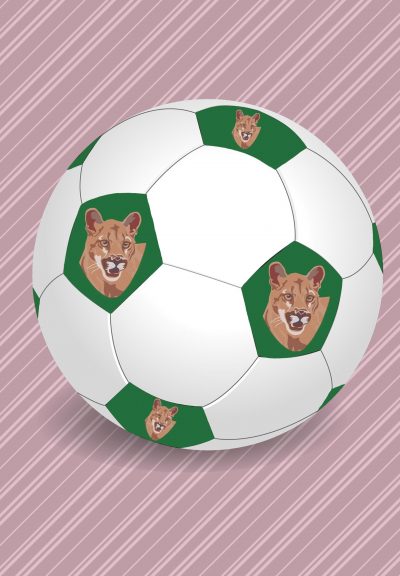 A white and green soccer ball with the image of a cougar on the green pentagons.