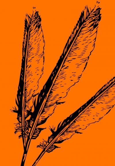 Three feathers are fanned out above an orange background.