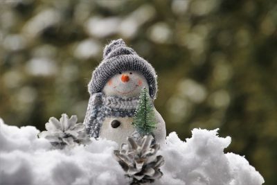 An image of a fake snowman on a pile of snow with two icy pinecones in front of it. The snowman is in a toque and scarf and has a mini pine tree accessory.