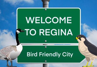 A “Welcome to Regina” sign indicates that Regina is a Bird Friendly City and features a Canada Goose on the left and a Peregrine Falcon on the right facing each other.